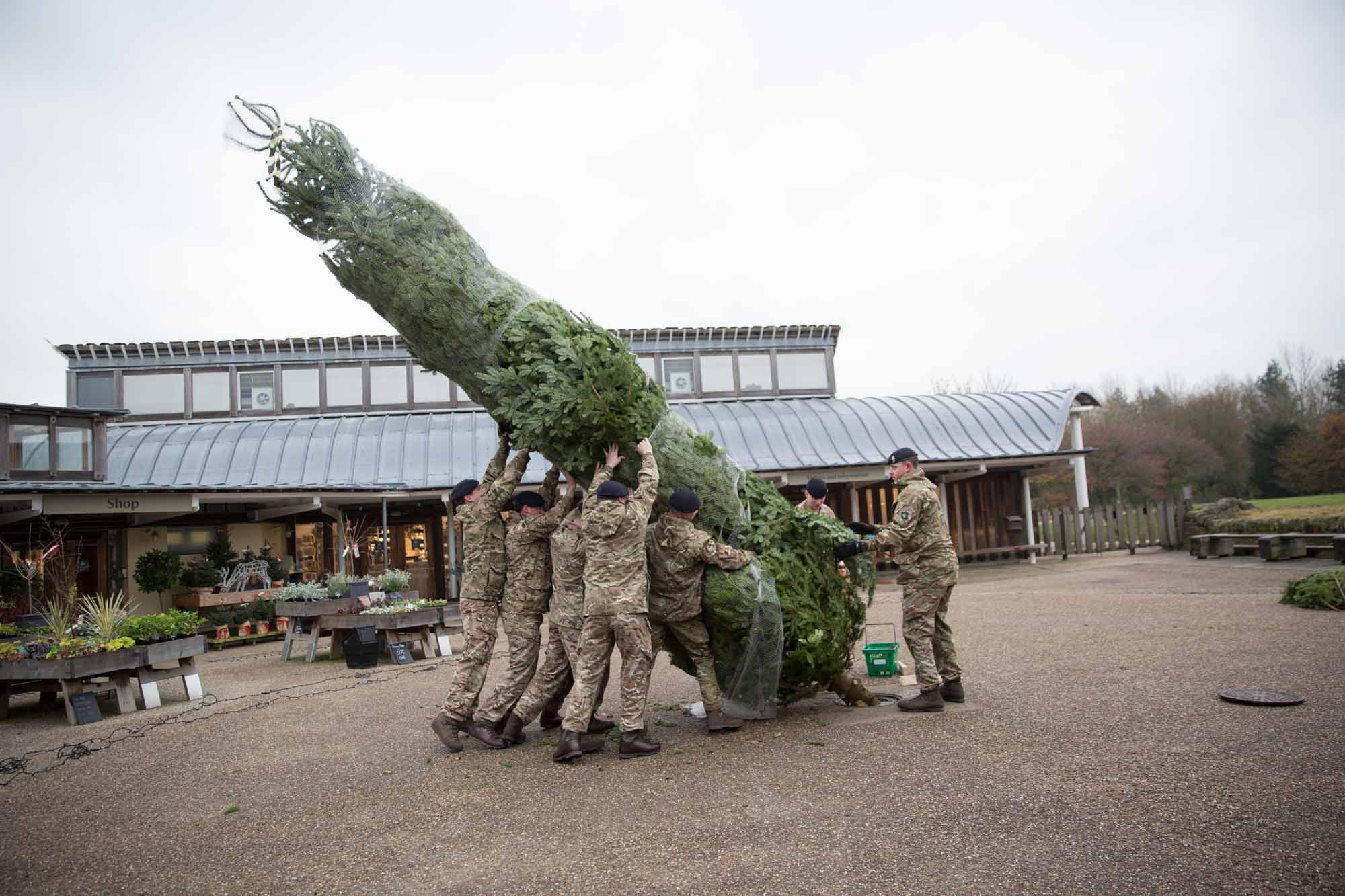 Christmas at Fountains Abbey and Studley Royal