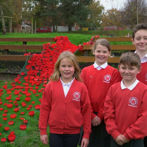 Saltergate Junior Schools cascade of poppies
