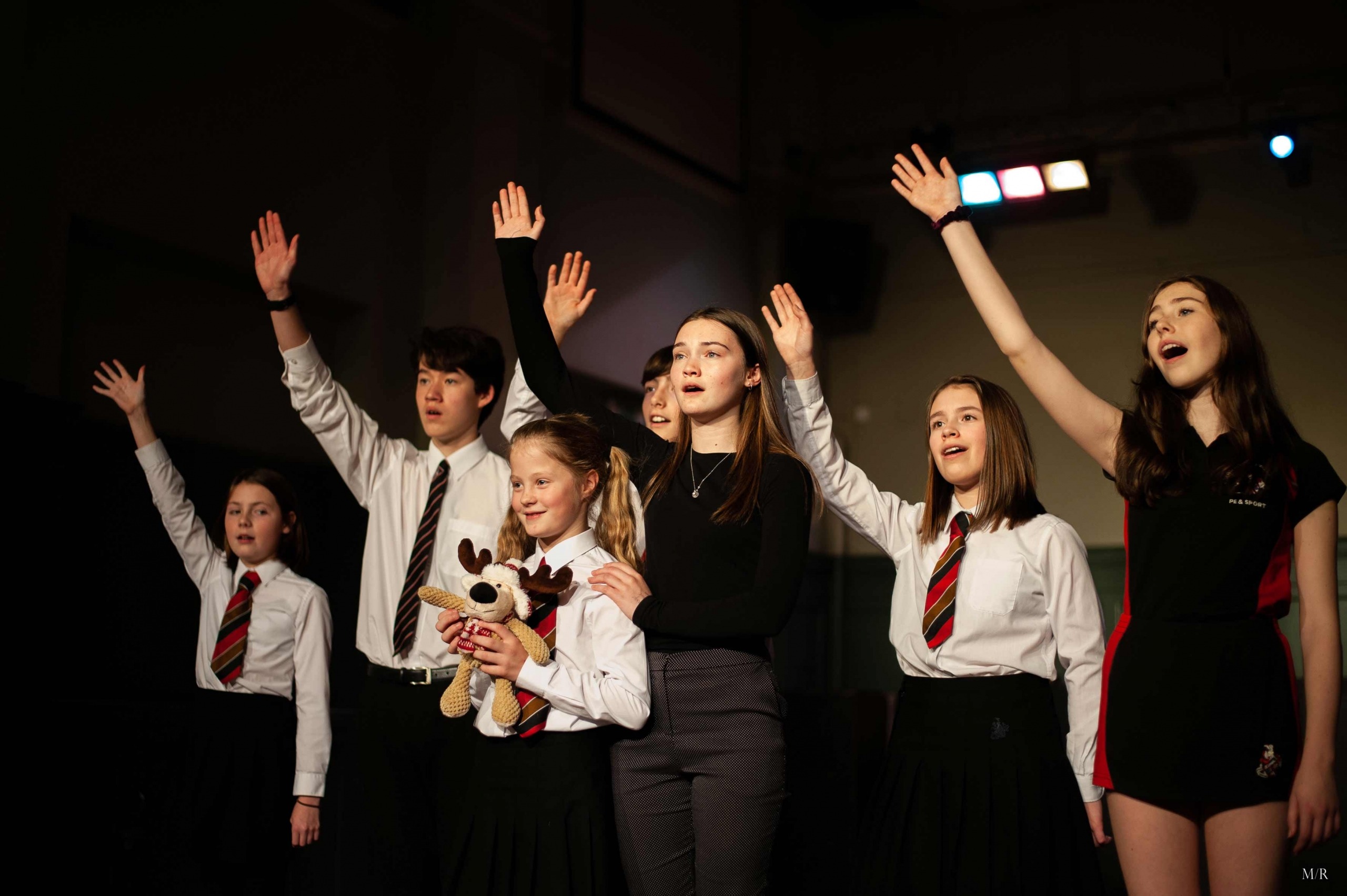 The Sound of Music Harrogate Grammar School