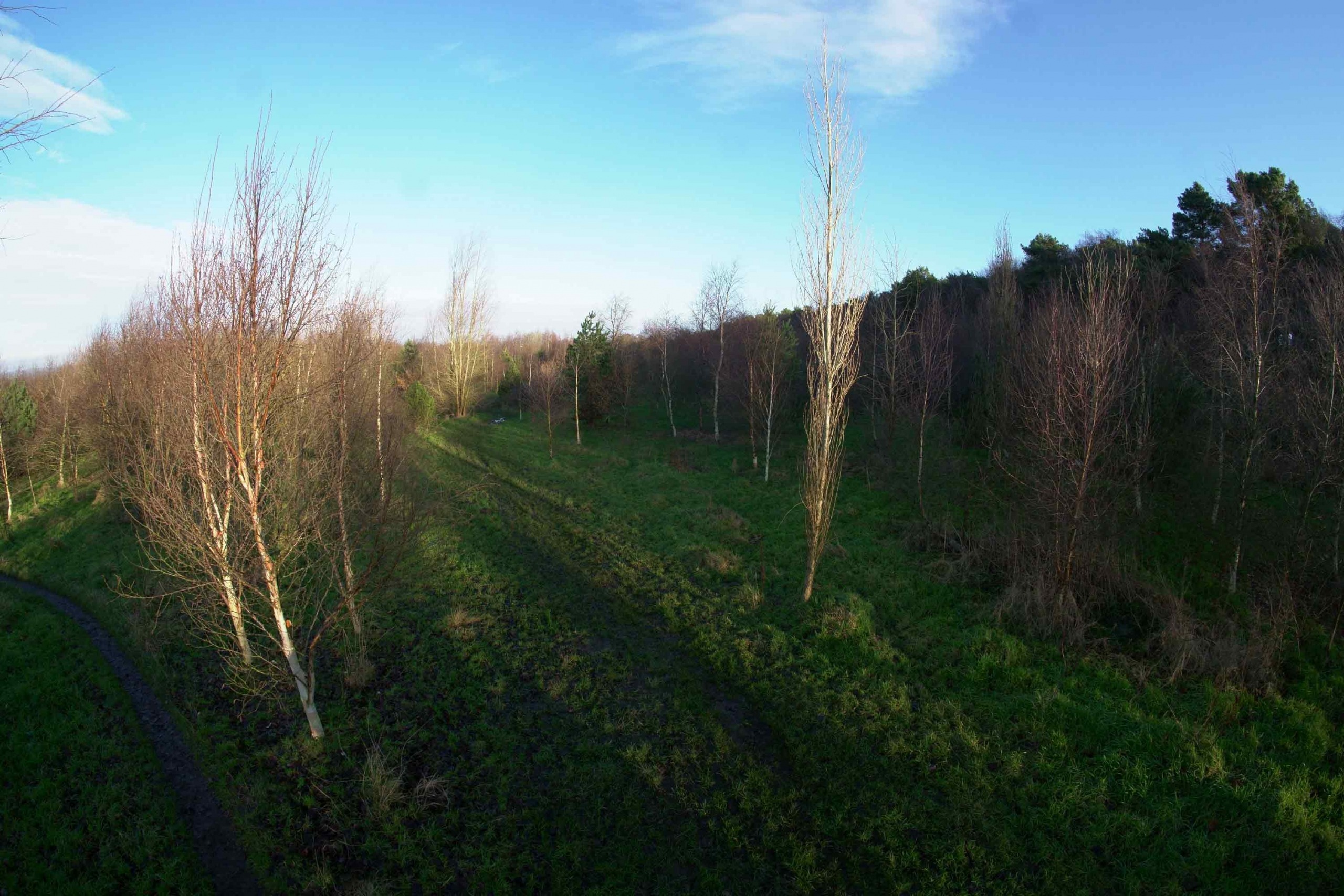 Rotary centenary woods, pinewoods, harrogate