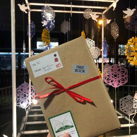 Harrogate Book Fairies are hiding 5 books a day