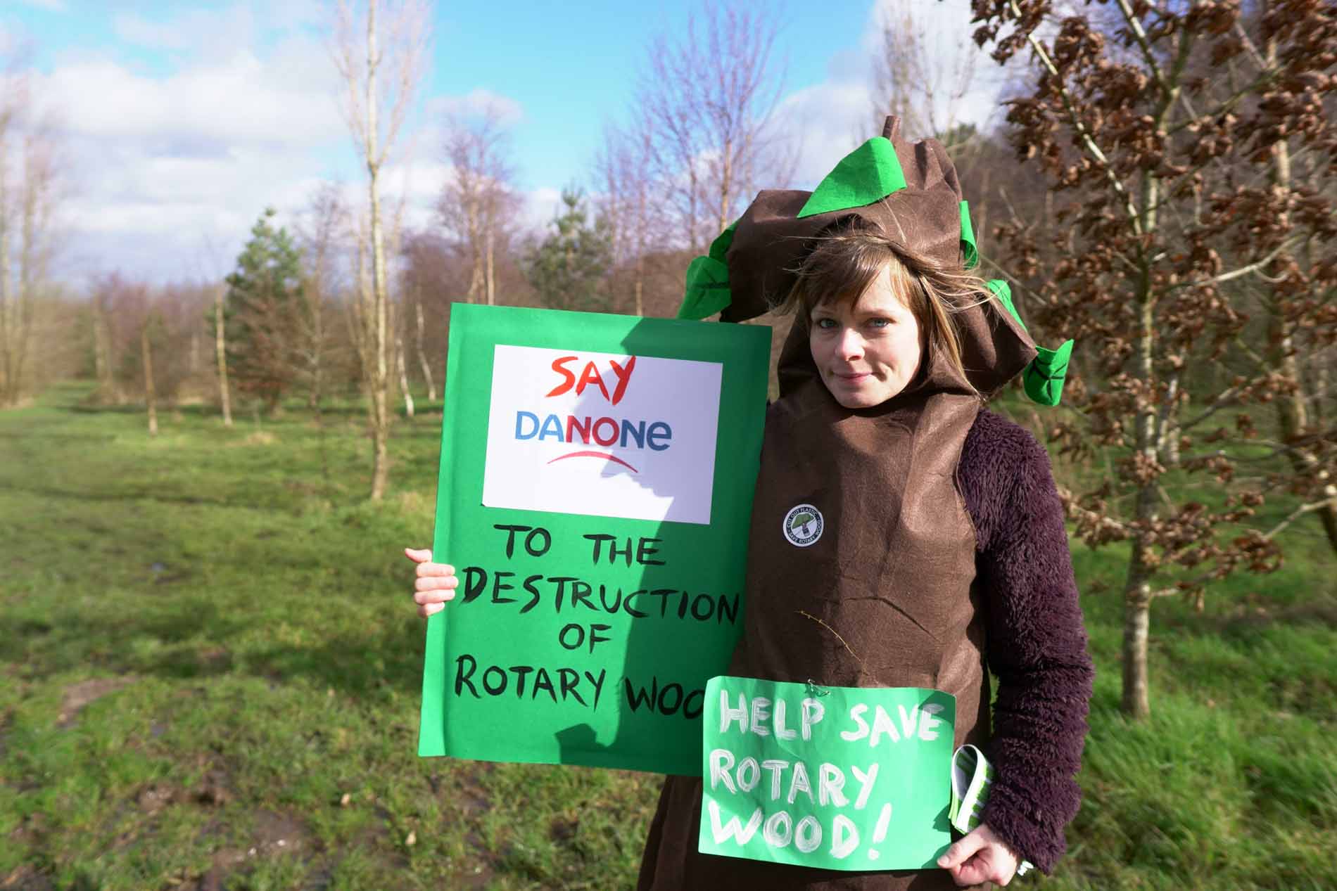 Harrogate Green Party rotary woods