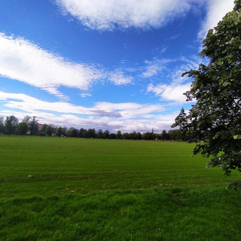 Harrogate West Park Stray