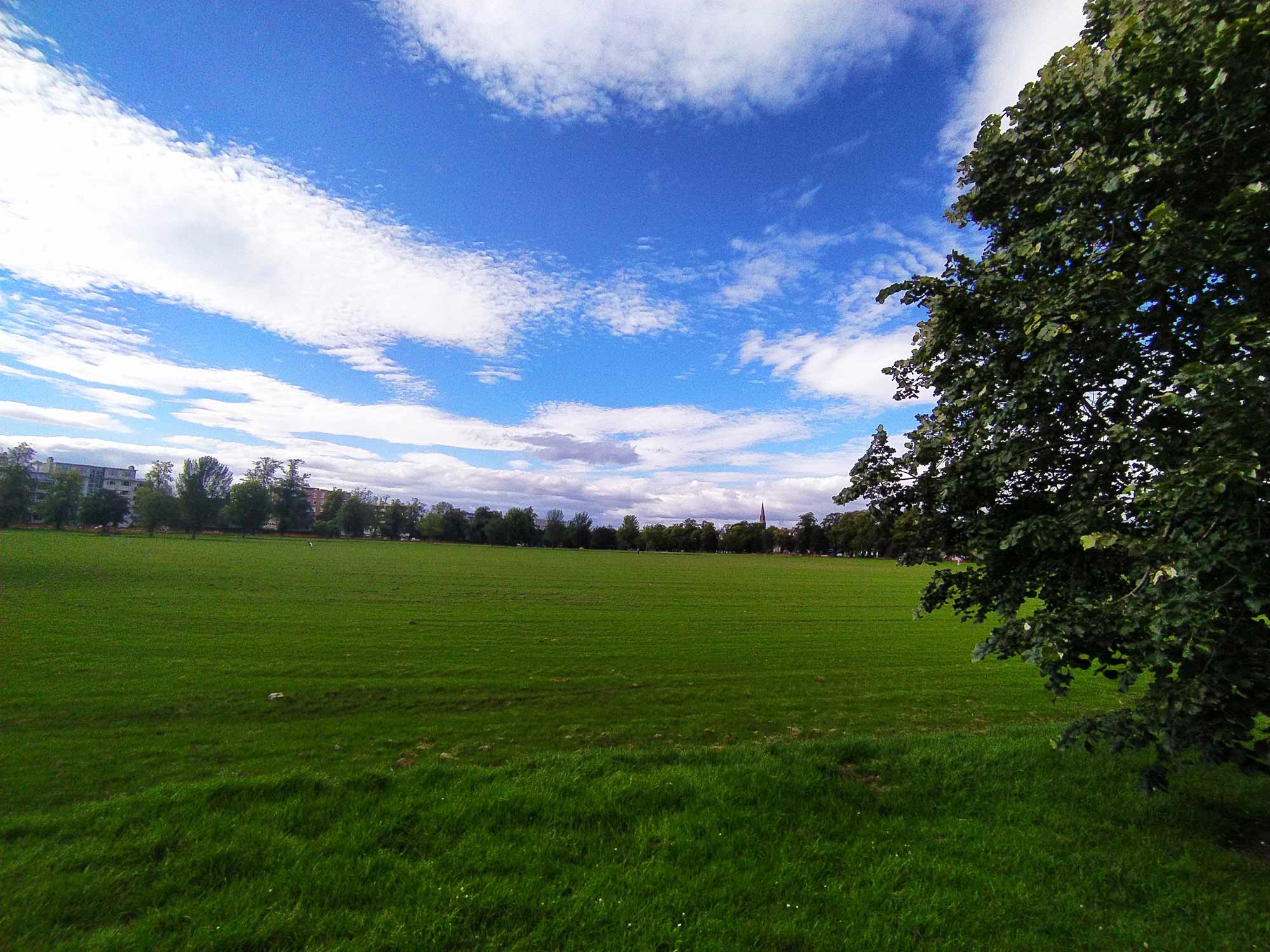 Harrogate West Park Stray