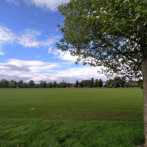 West Park Stray