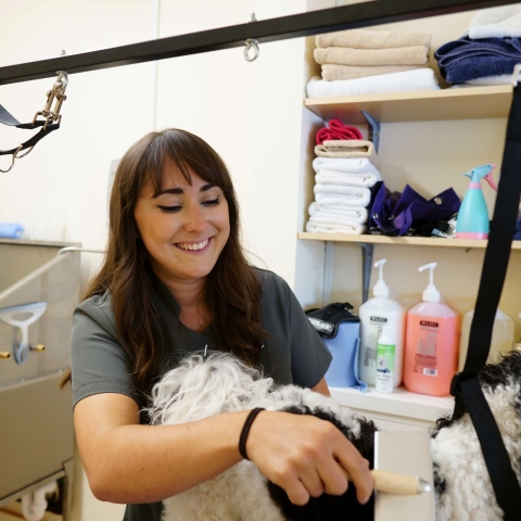 Holly Hamp has this week opened the Dog Spa in Harrogate