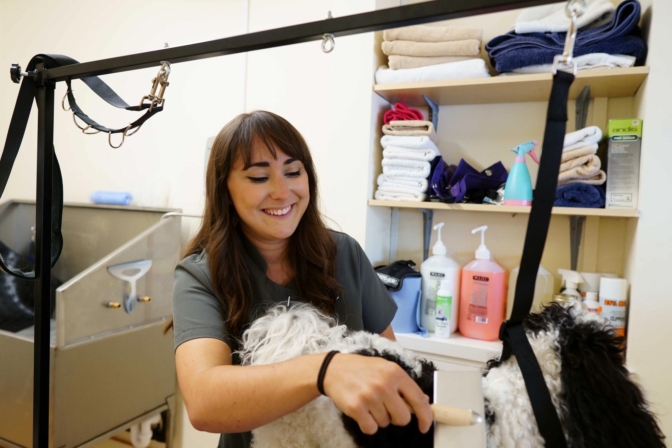 Holly Hamp has this week opened the Dog Spa in Harrogate