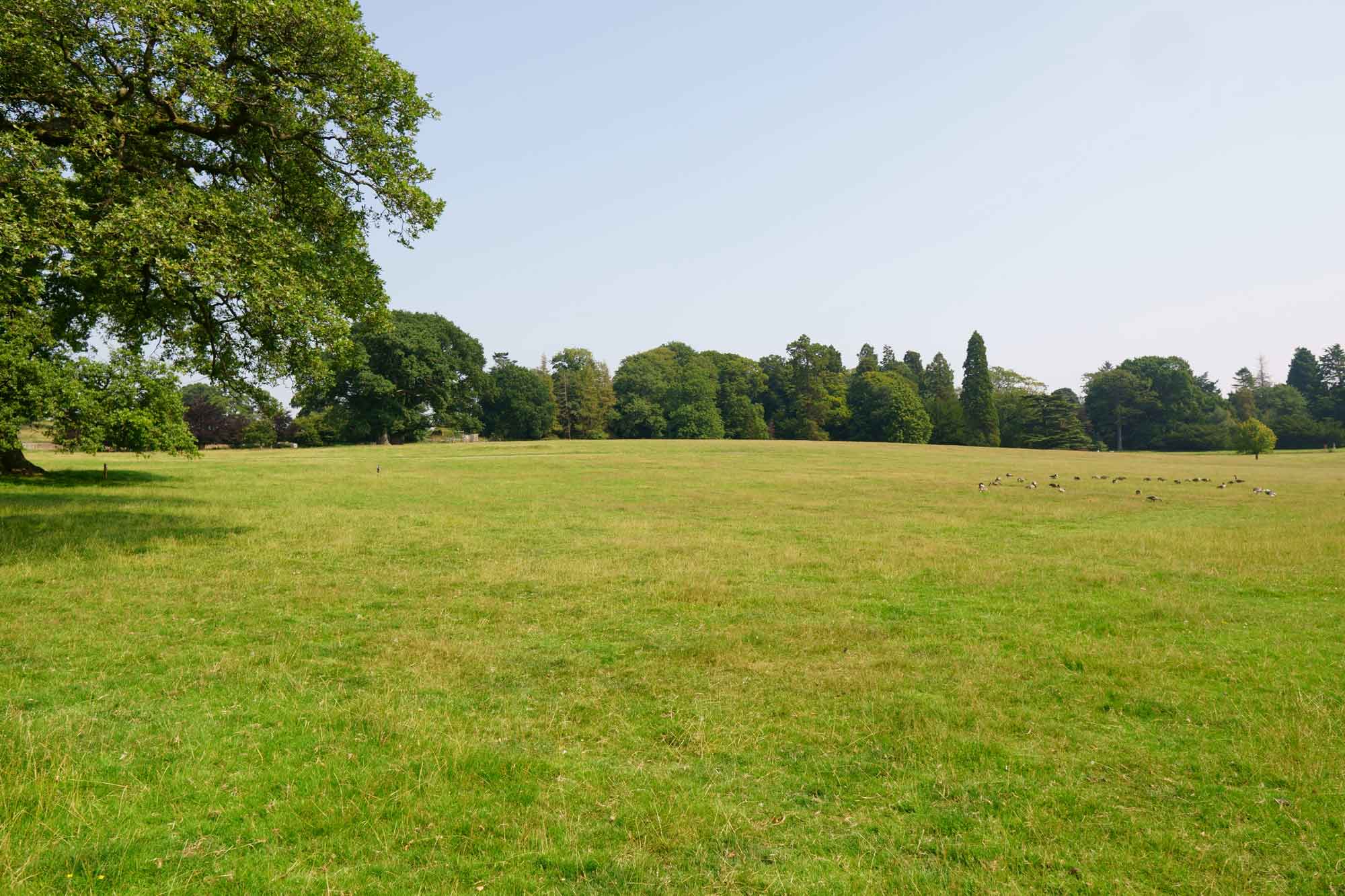 The grounds of Ripley Castle form a natural amphitheatre 