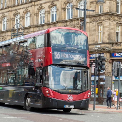 36 bus