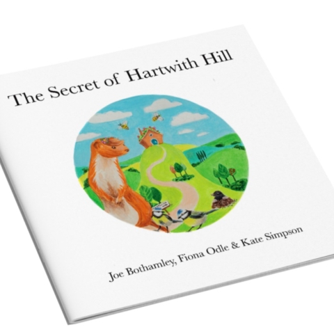 Secret of Hartwith Hill