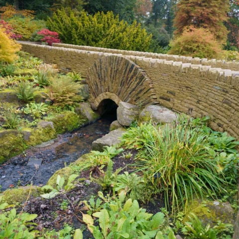 Friendship Bridge unveiled at RHS Garden Harlow Carr