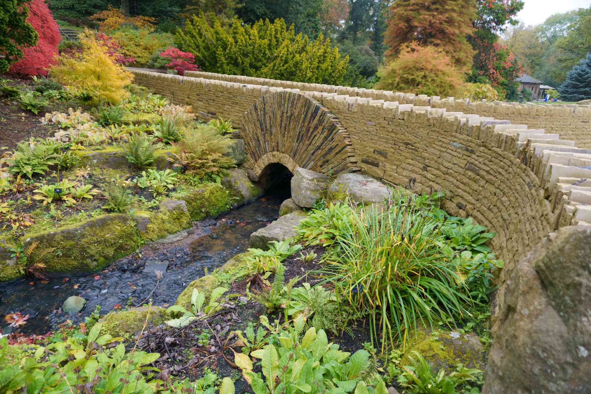 Friendship Bridge unveiled at RHS Garden Harlow Carr