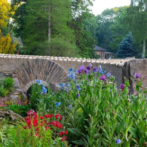 friendship bridge, harlow carr