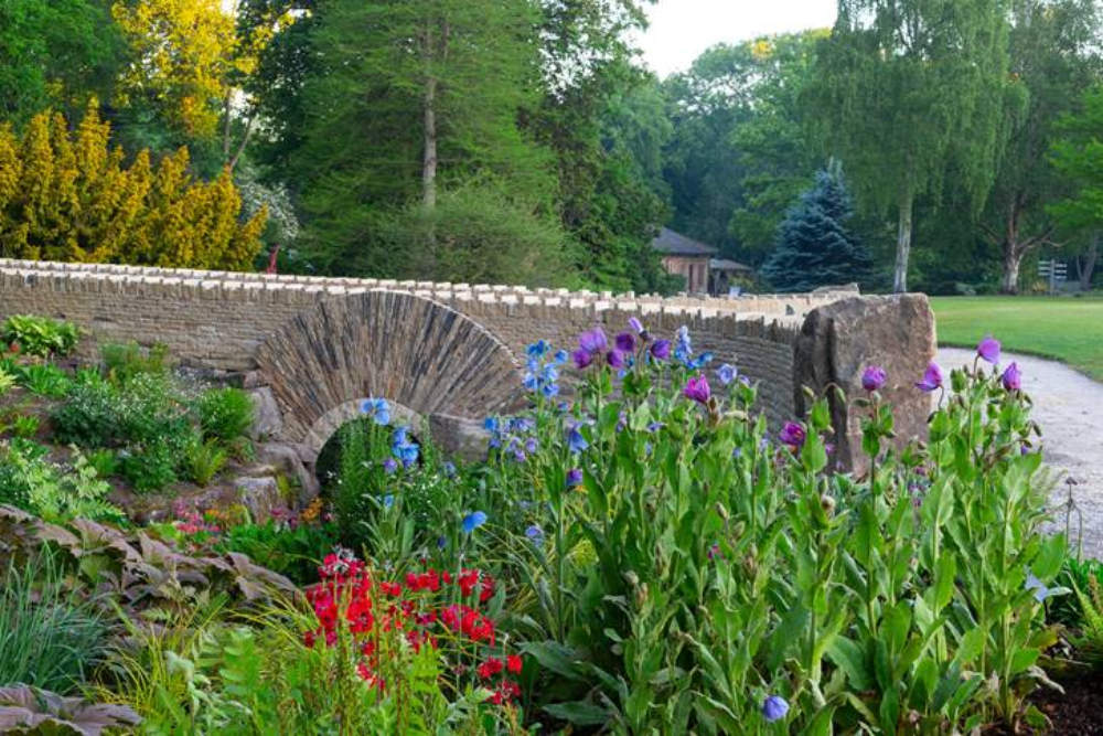 friendship bridge, harlow carr