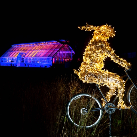 RHS Harlow Carr