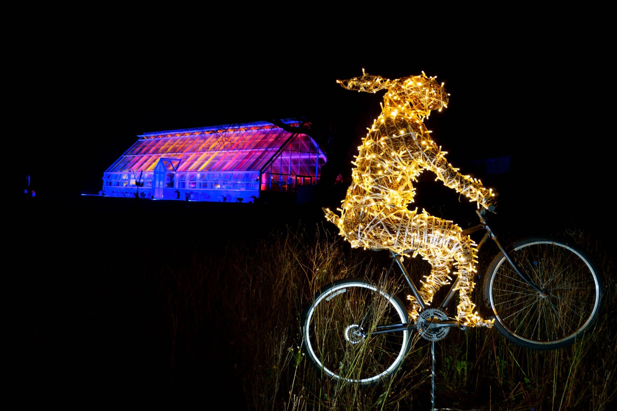 RHS Harlow Carr
