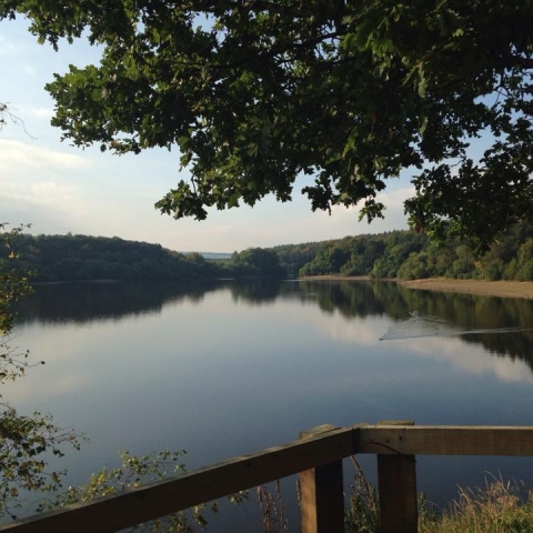 Swinsty Reservoir, in the Washburn Valley