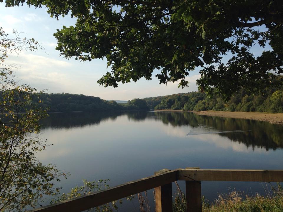 Swinsty Reservoir, in the Washburn Valley