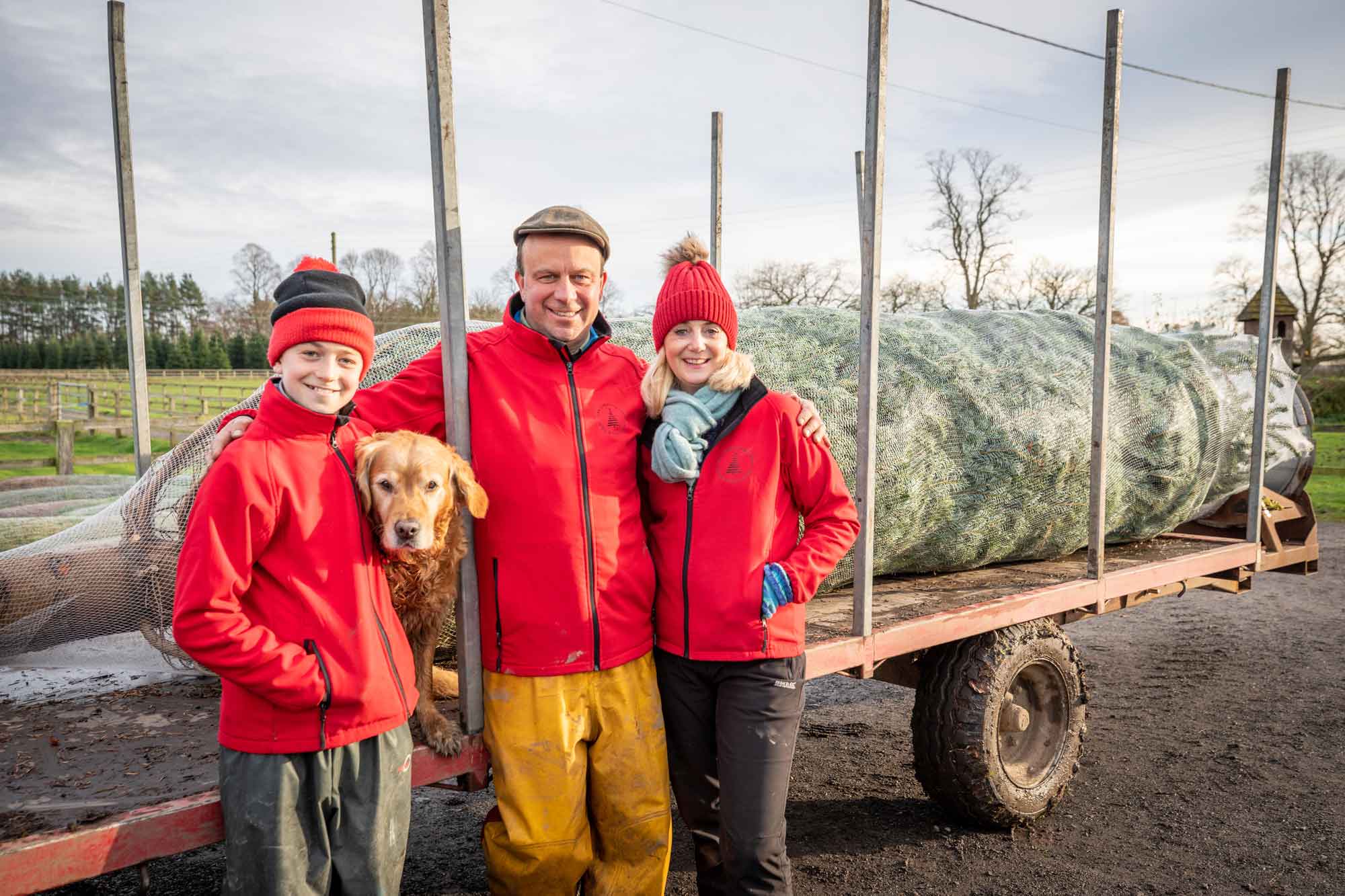 Christmas tree heads from York to Downing Street — Harrogate Informer