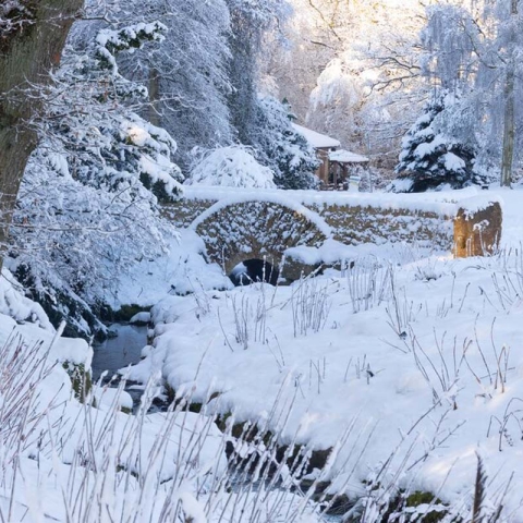 Harlow Carr - Photo credit RHS/ Neil Hepworth