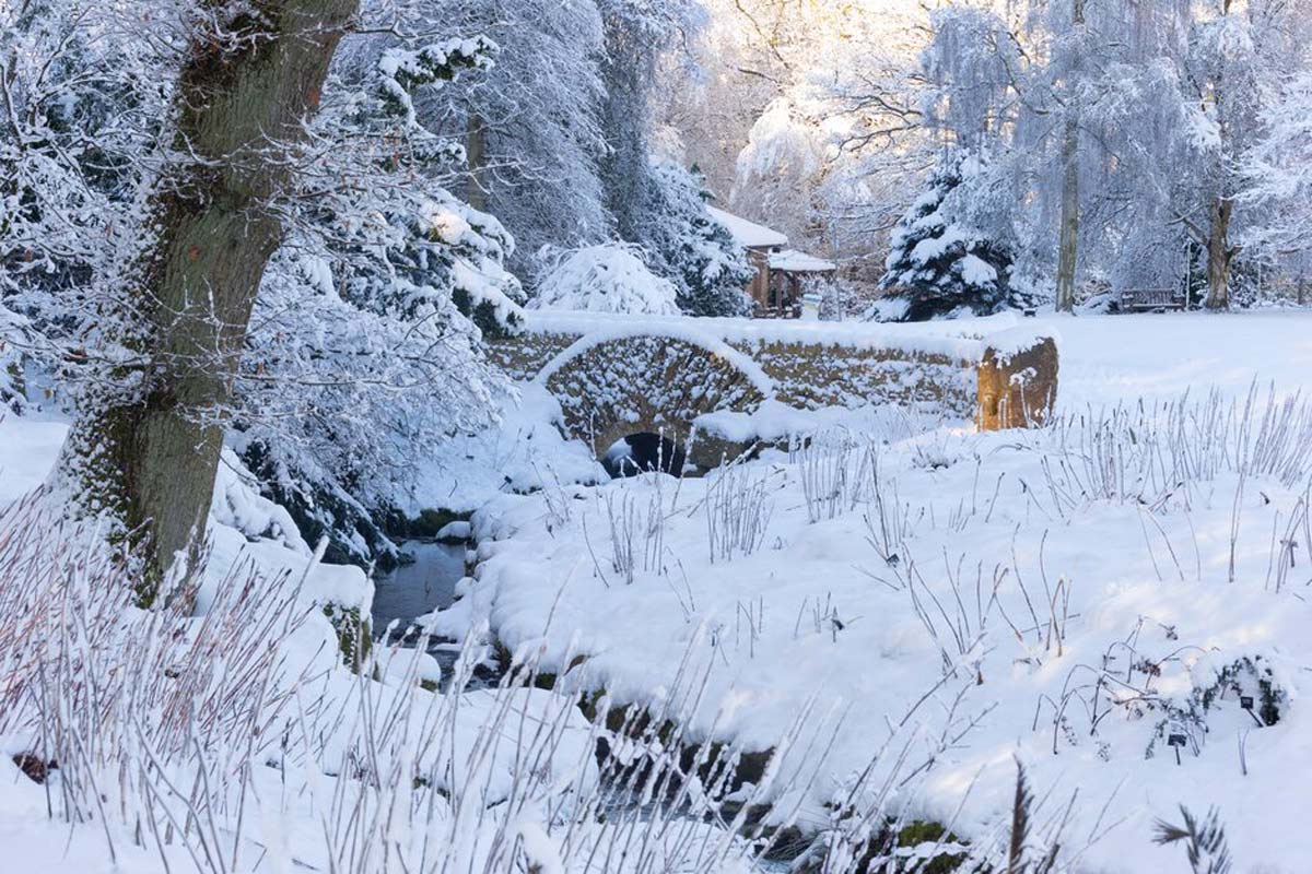 Harlow Carr - Photo credit RHS/ Neil Hepworth