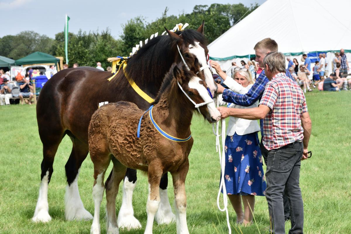 Tockwith Show