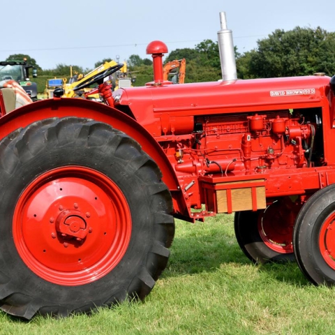 Tockwith Show