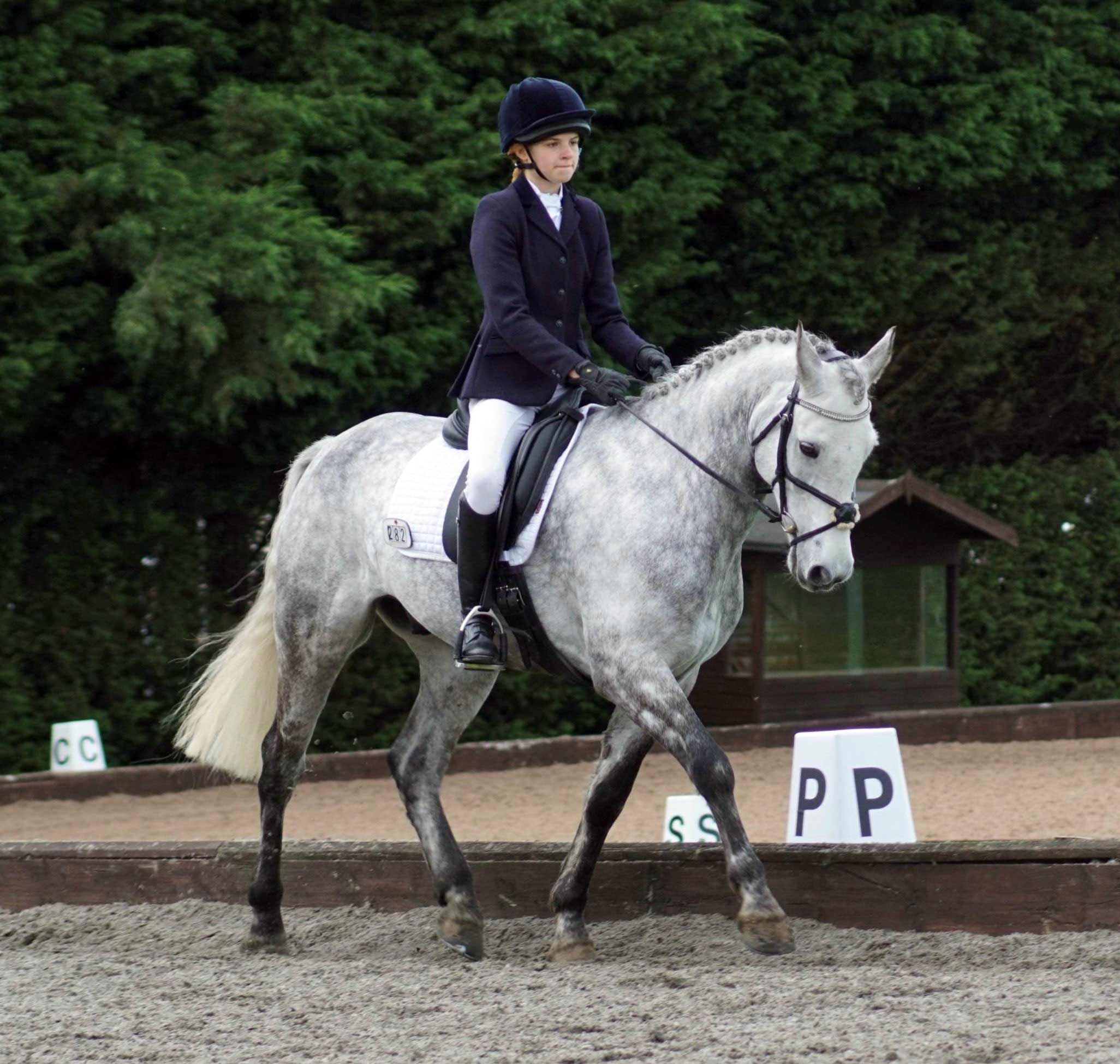 Beth Harrison - dressage