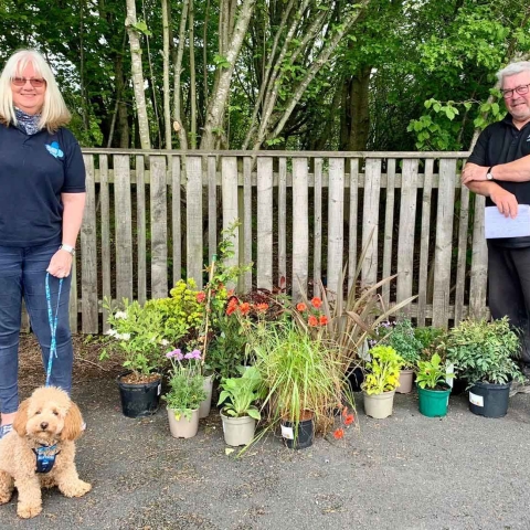 Plant donation to the Blue Cross, Thirsk