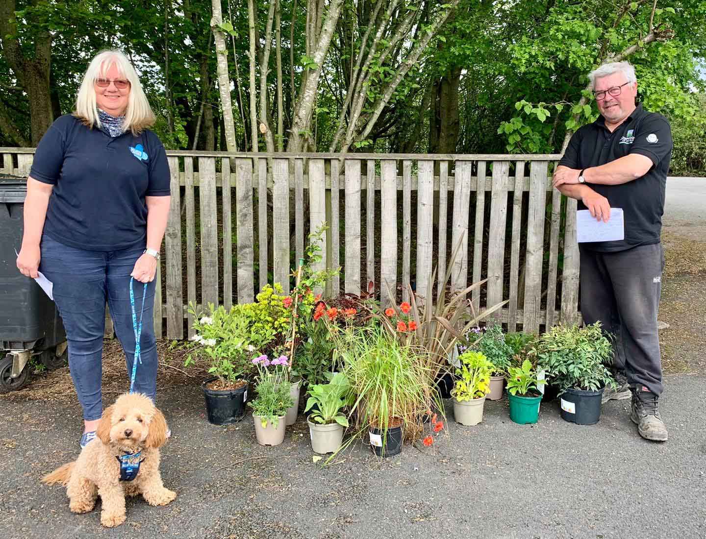 Plant donation to the Blue Cross, Thirsk