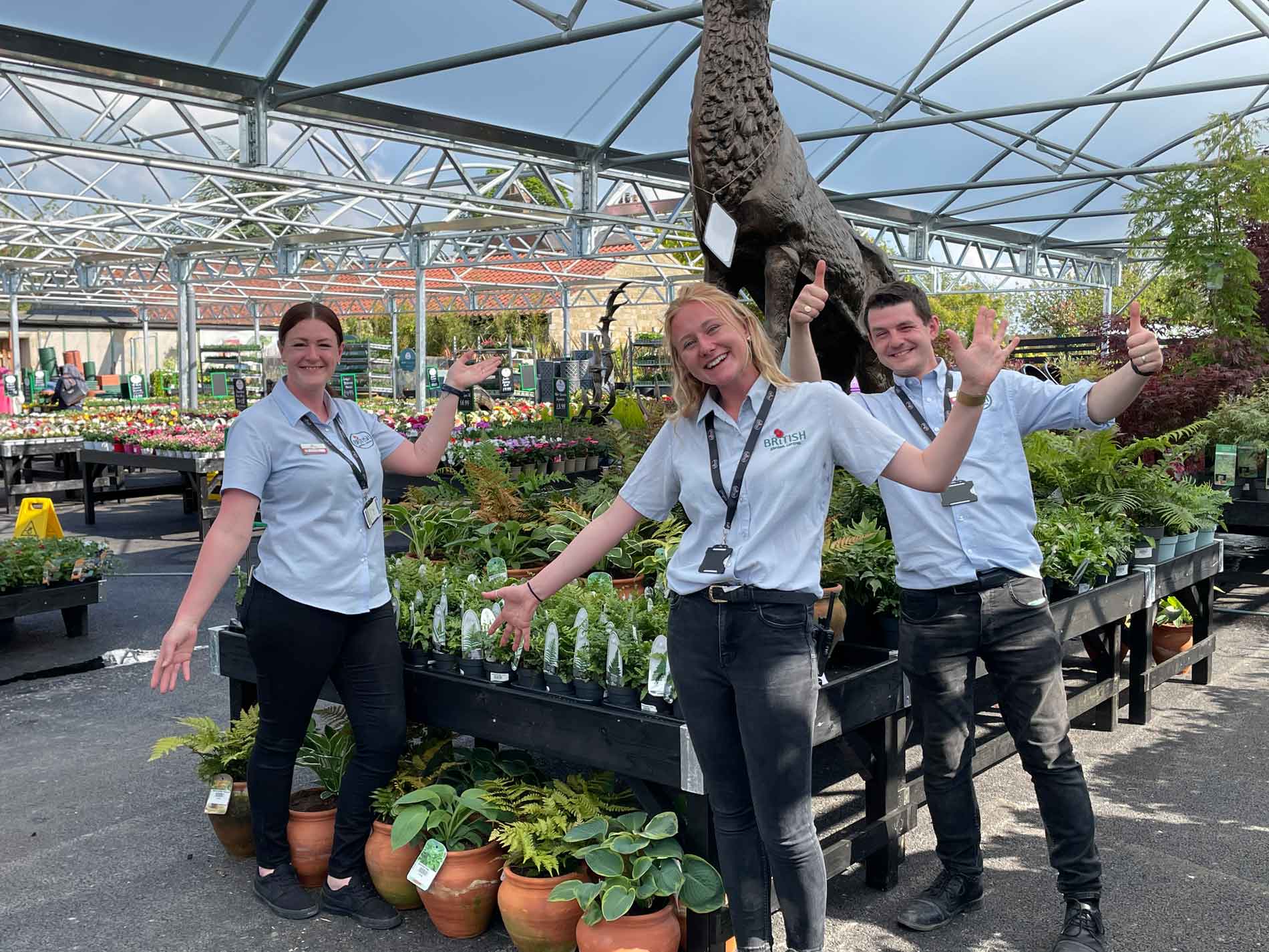 Bishop Monkton Garden Centre is open | Harrogate Informer