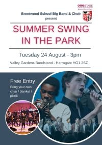 Summer Swing In The Park
