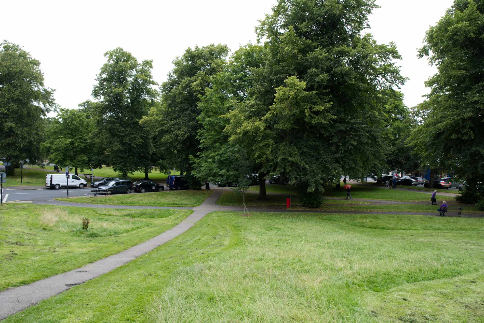 Montpellier Stray in Harrogate