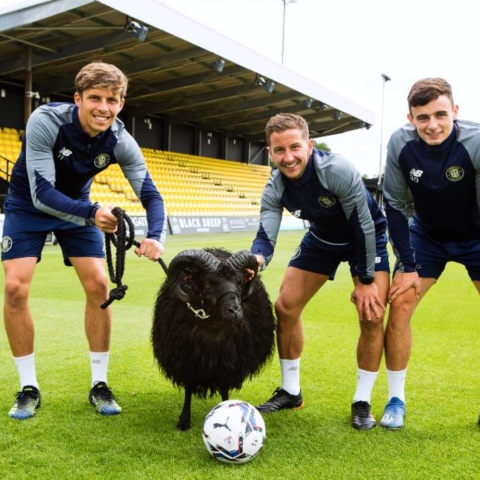 Danilo Orsi, Josh Falkingham, Simon Power