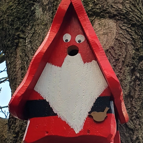 Pinewoods