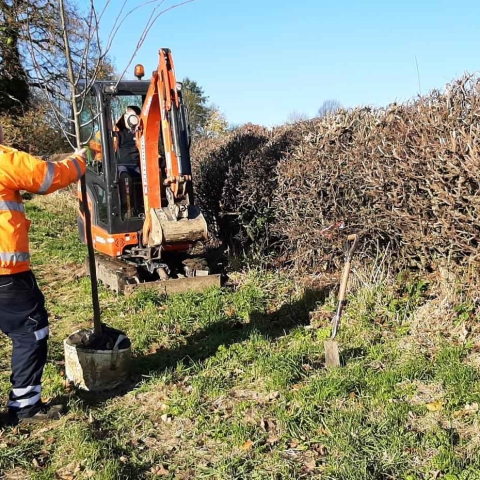 Trees planted across the Harrogate district to mark Her Majesty’s Platinum Jubilee