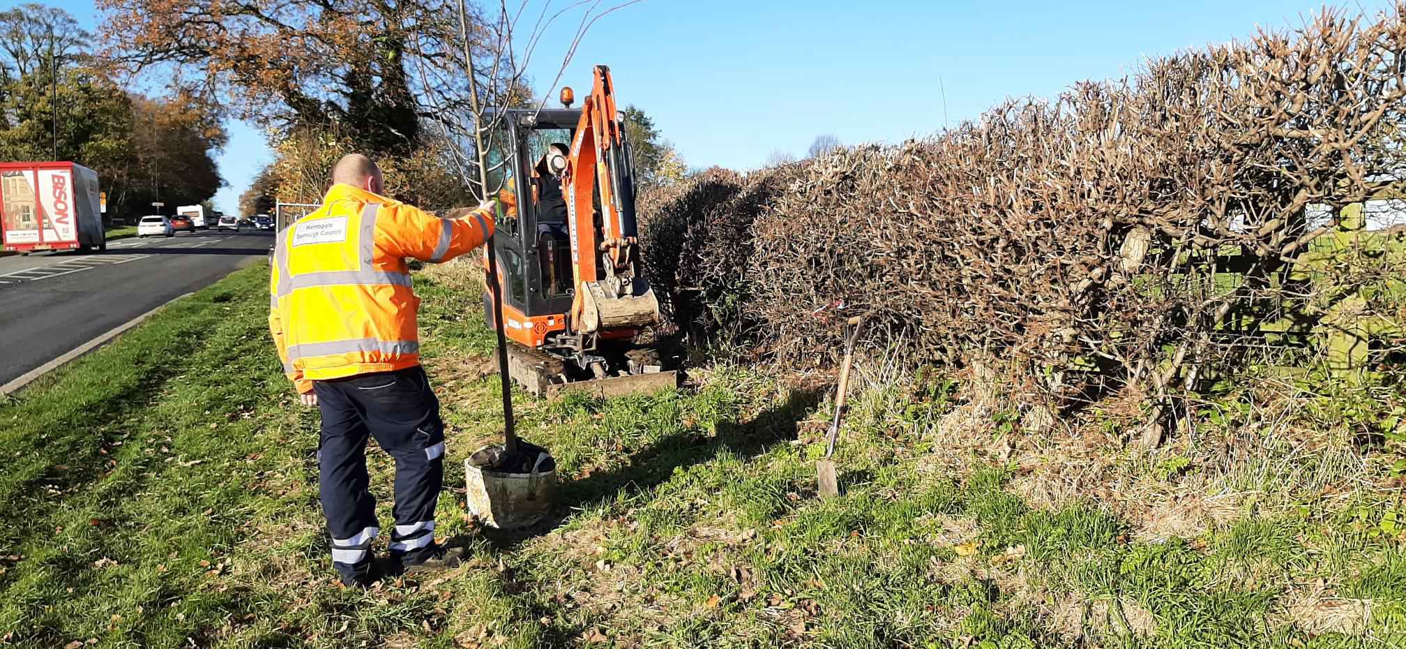 Trees planted across the Harrogate district to mark Her Majesty’s Platinum Jubilee