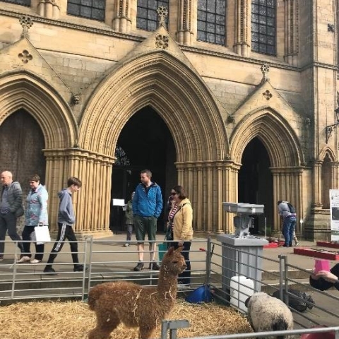 Ripon Cathedral Spring Food, Home & Garden Show 2022