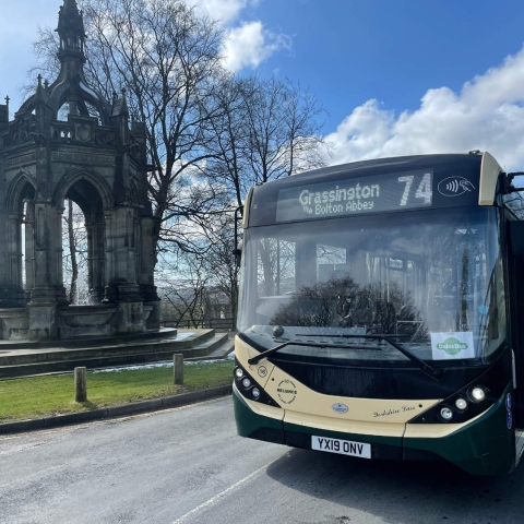 dales bus