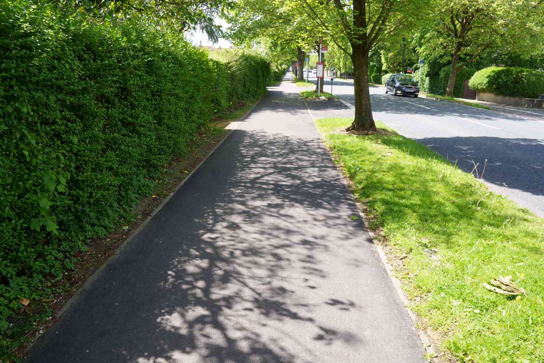 Otley Road cycle way