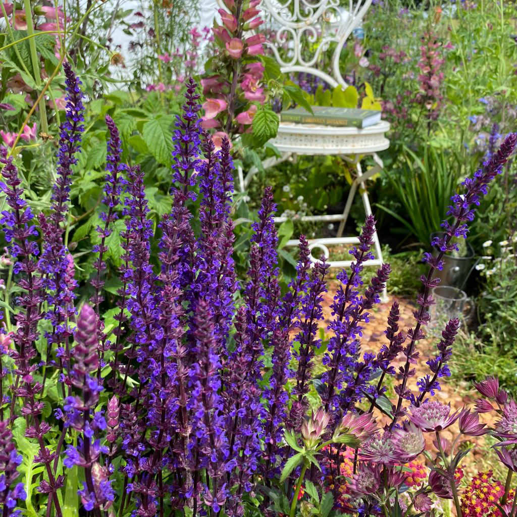 Harrogate garden designer wins silver at BBC Gardener's World Live and donates winning garden to Harrogate Hospital