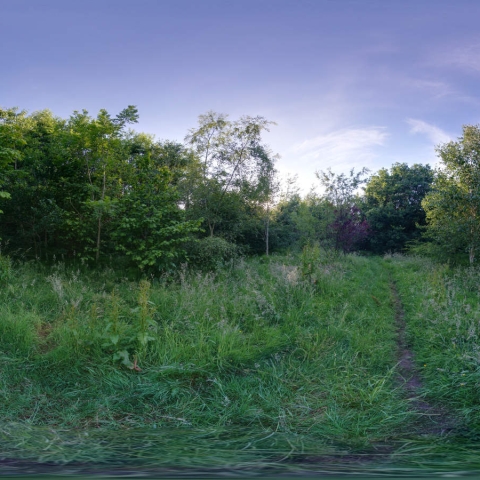 Rotary Woods Pinewoods harrogate