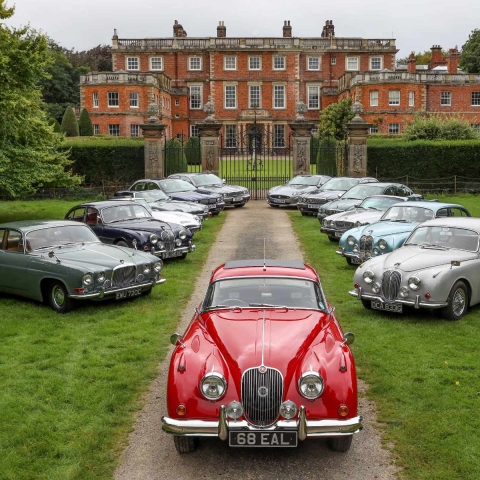jaguar festival
