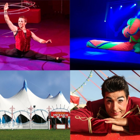 circus montini harrogate