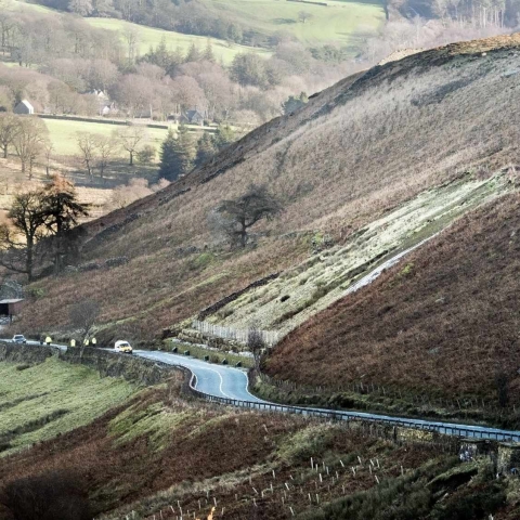 Kex Gill