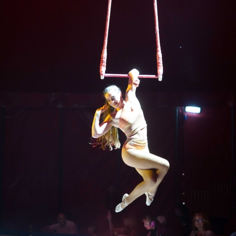 circus montini HARROGATE