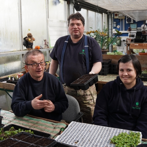 Karl, Carl and Hannah horticap