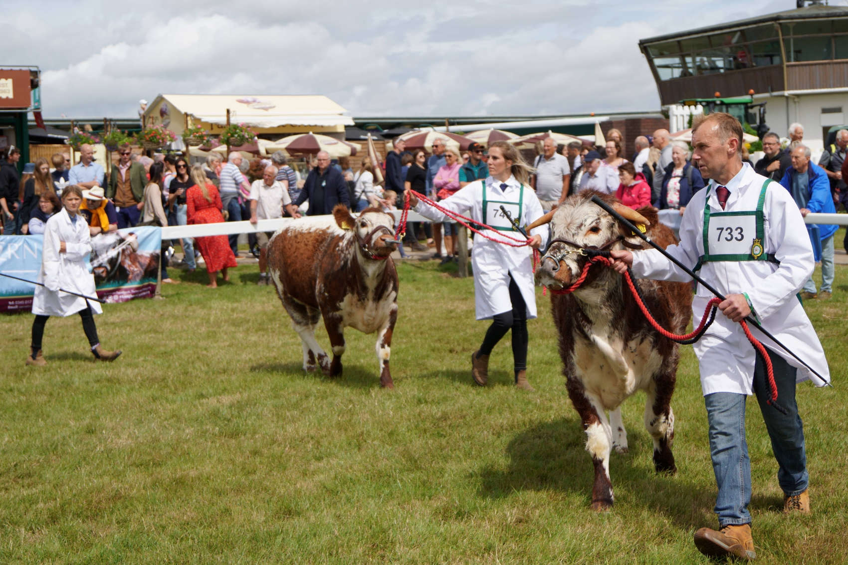 Great Yorkshire Show 2023