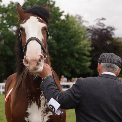 Great Yorkshire Show 2023
