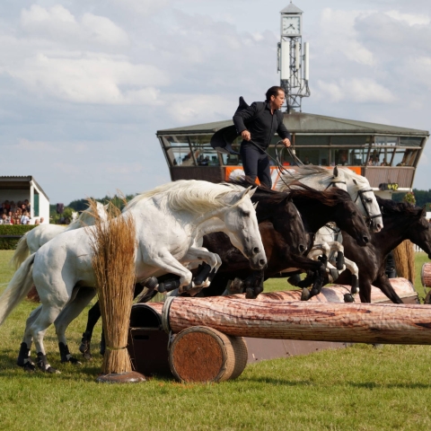 Great Yorkshire Show 2023